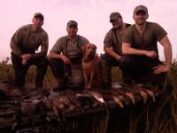 texas duck hunting