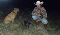 texas hog eradication