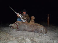 texas hog eradication