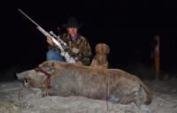 texas hog eradication