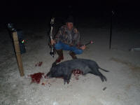 texas hog eradication