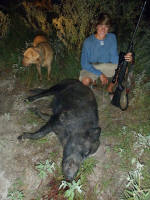 texas hog eradication