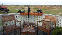 texas hog eradication
