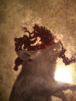 texas hog eradication